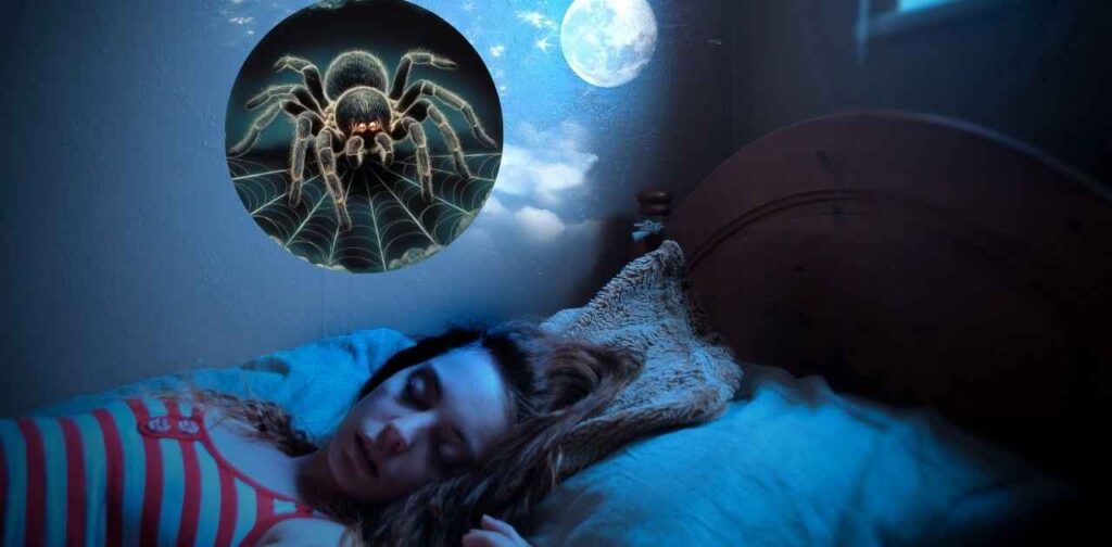 Tarantula Dream Symbolism Analysis