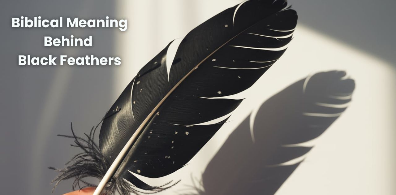 The Biblical Meaning Behind Black Feathers